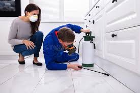 Best Real Estate Pest Inspections  in Lyncourt, NY